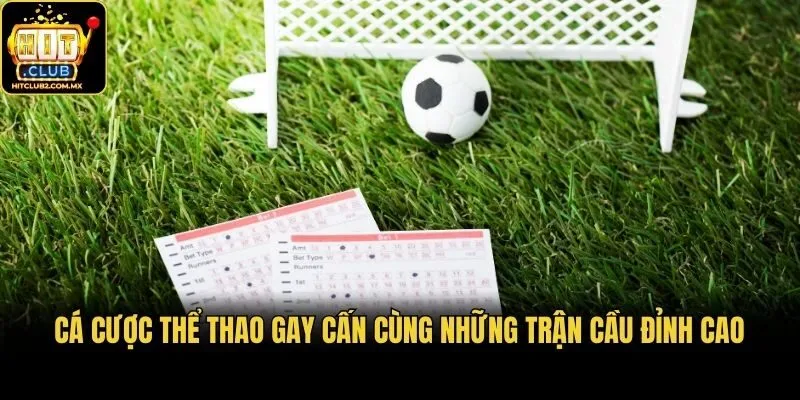 Cá cược thể thao gay cấn cùng những trận cầu đỉnh cao