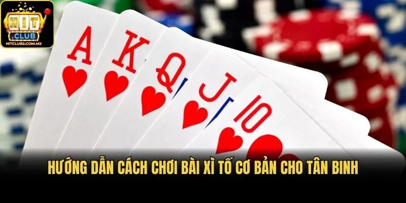 Hướng dẫn cách chơi bài Xì tố cơ bản cho tân binh