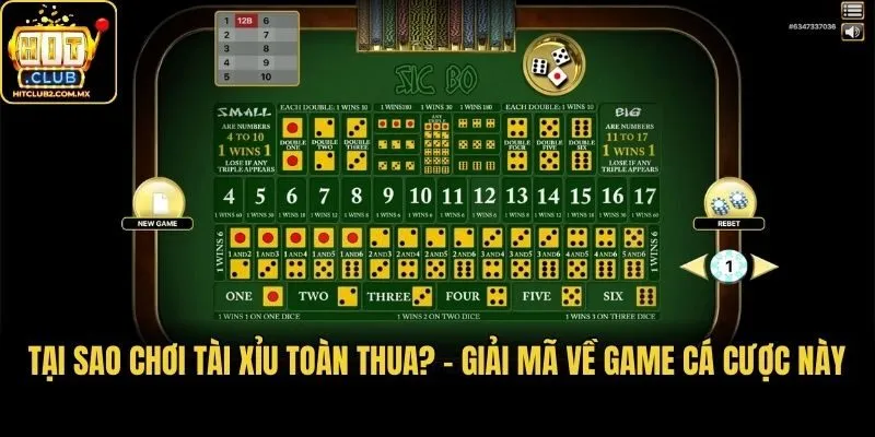 Tại sao chơi tài xỉu toàn thua? - Giải mã về game cá cược này