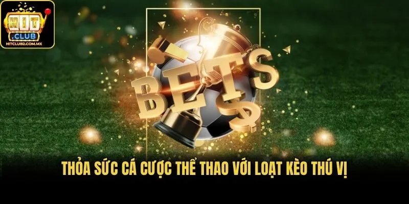 Thỏa sức cá cược thể thao với loạt kèo thú vị