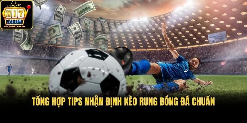 Tổng hợp tips nhận định kèo rung bóng đá chuẩn